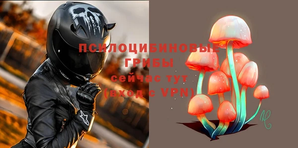 марки lsd Бородино