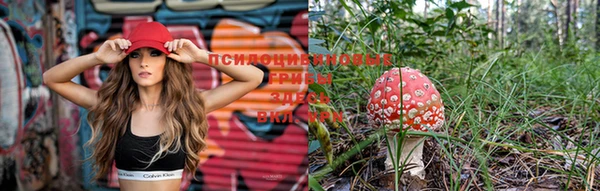 марки lsd Бородино