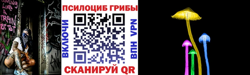 где можно купить Долинск Псилоцибиновые грибы ЛСД