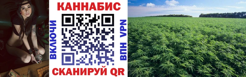 Марихуана гибрид  Долинск 